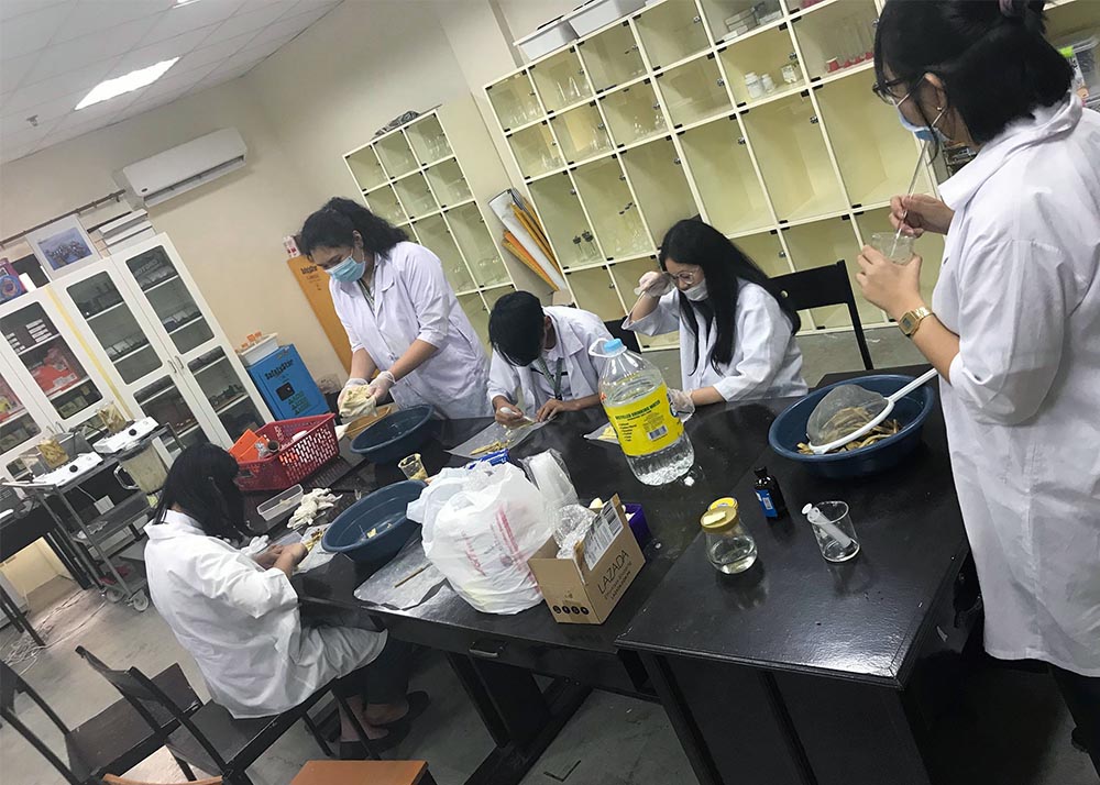 DLSU-D SHS student researchers develop alternative material to plastic straws