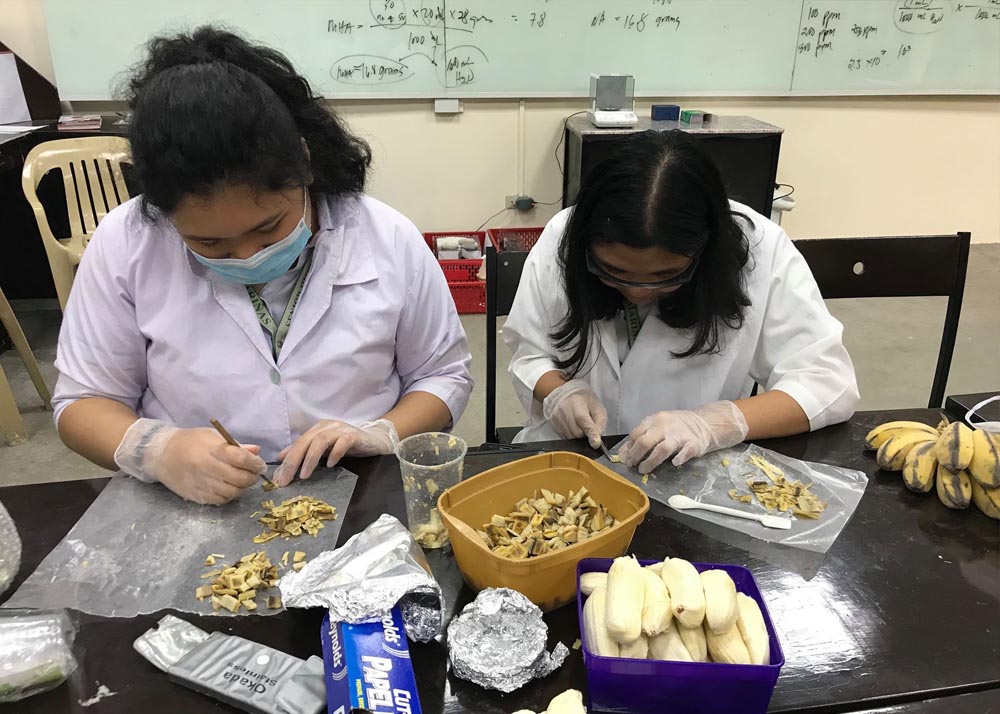 DLSU-D SHS student researchers develop alternative material to plastic straws