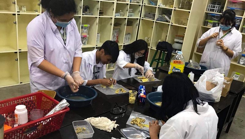 DLSU-D SHS student researchers develop alternative material to plastic straws