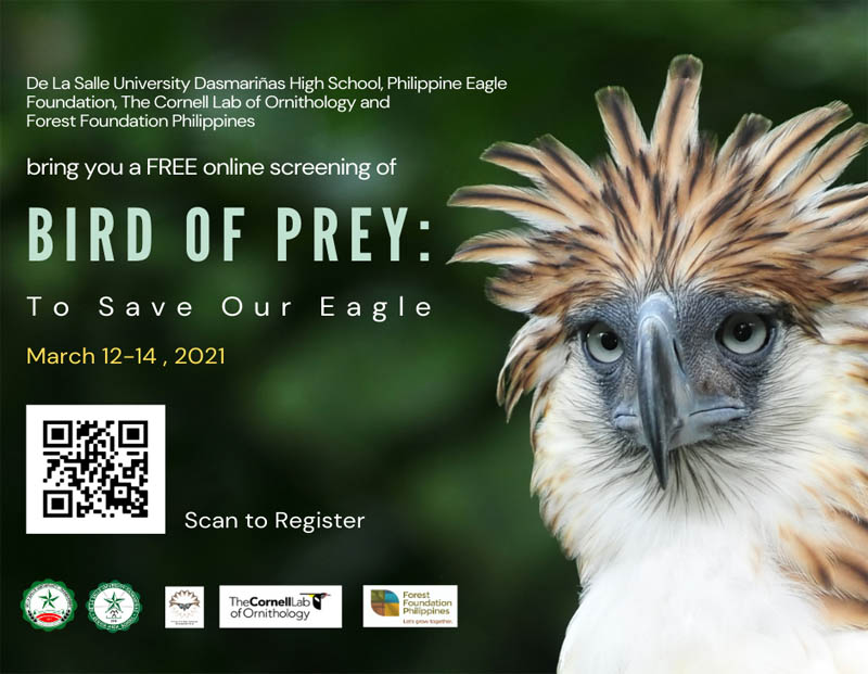 Bird of prey free screening