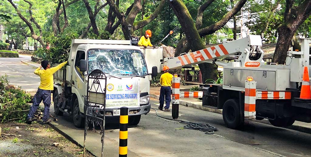 CSO Leads Tree Trimming for Safer, Greener Campus