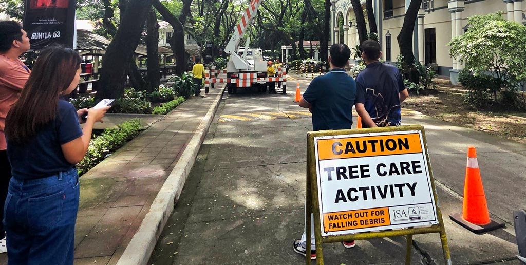 CSO Leads Tree Trimming for Safer, Greener Campus 
