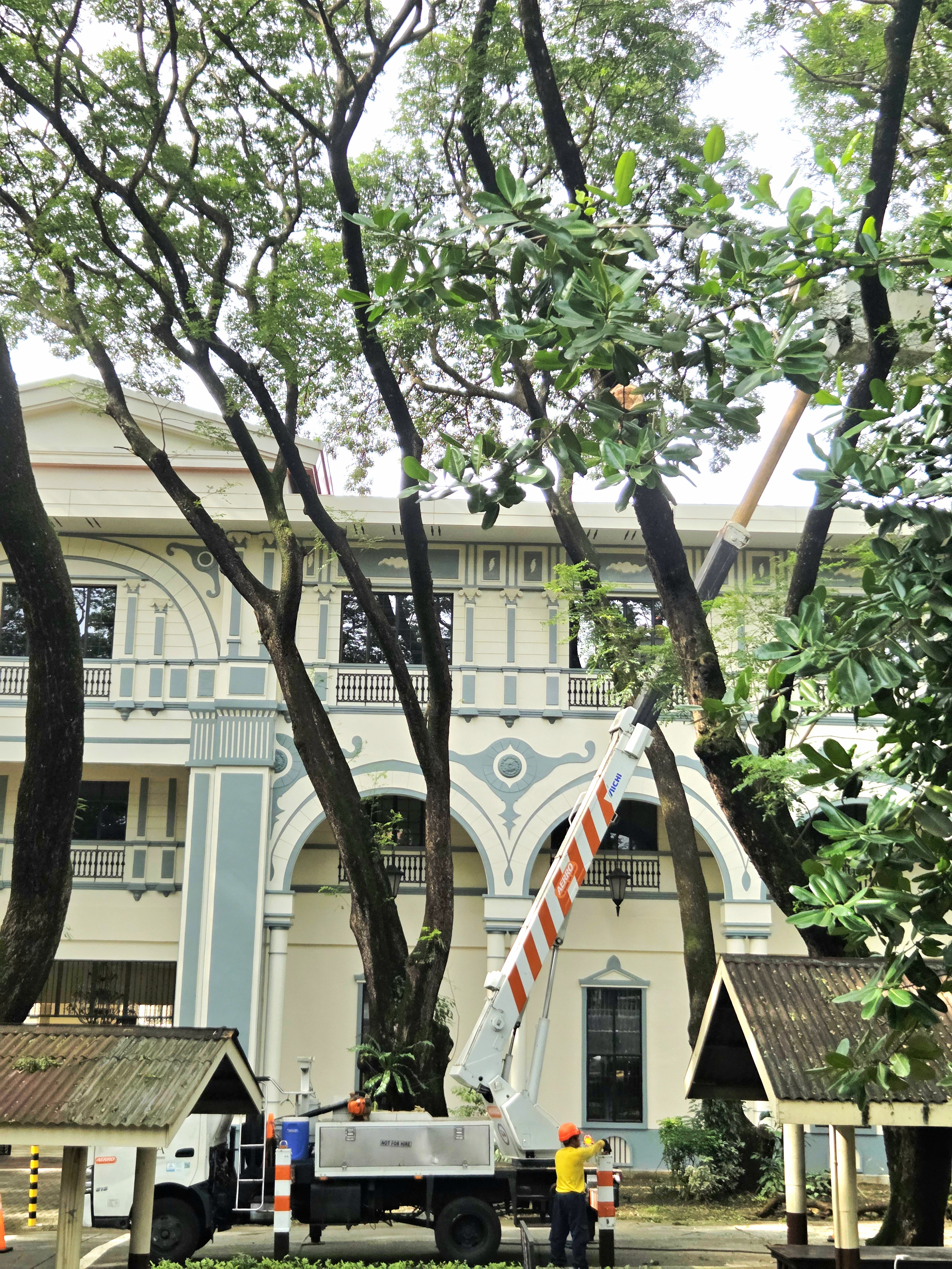 CSO Leads Tree Trimming for Safer, Greener Campus