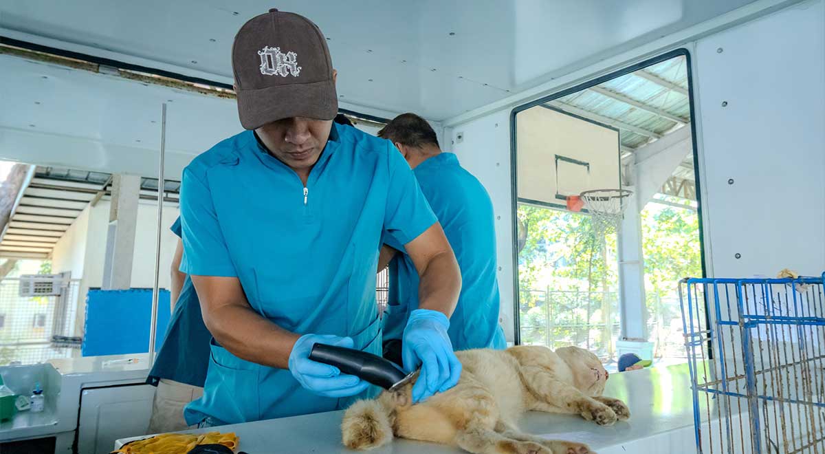 DLSU-D Holds Free Anti-Rabies, Kapon Drive