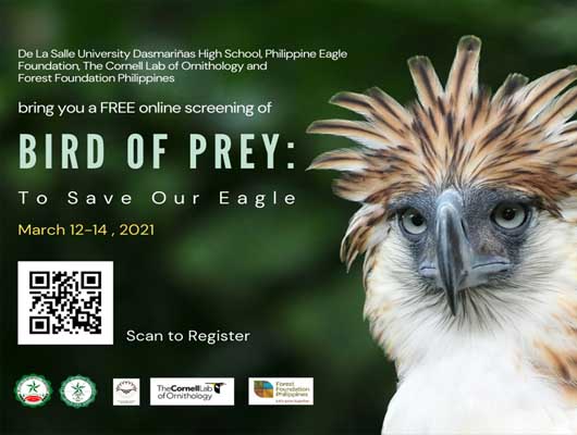 Bird of prey free screening