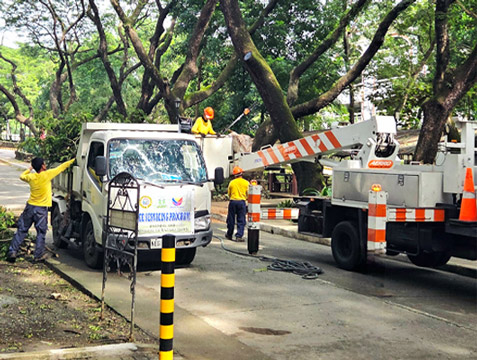 CSO Leads Tree Trimming for Safer, Greener Campus