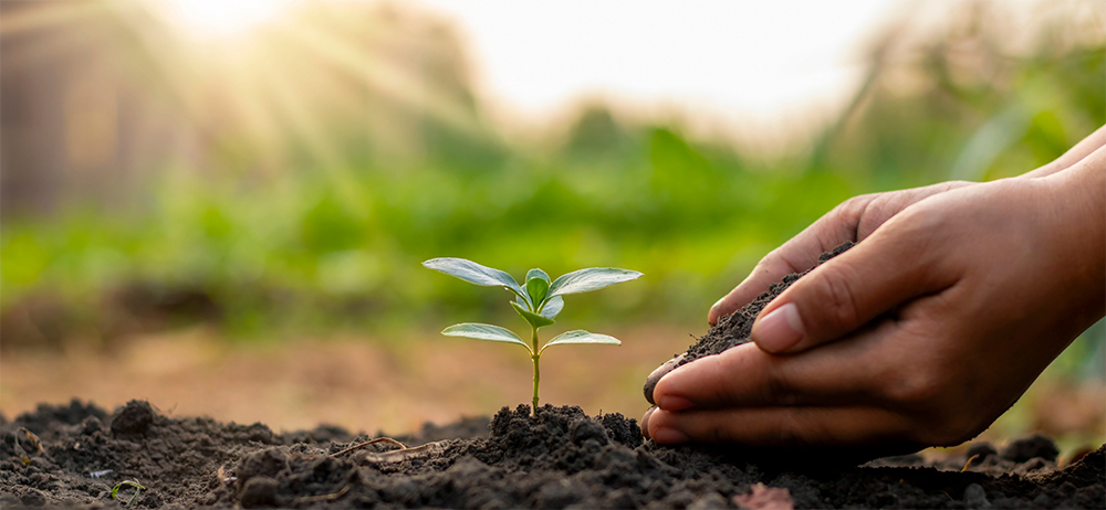 Youth and Nature: How Caring for the Planet is Self Care