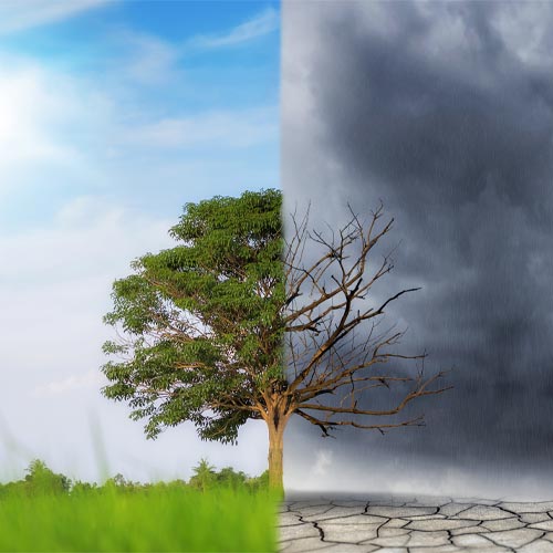 International Day of Climate Action