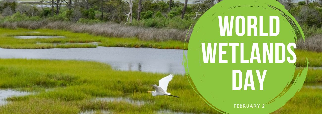 World Wetlands Day