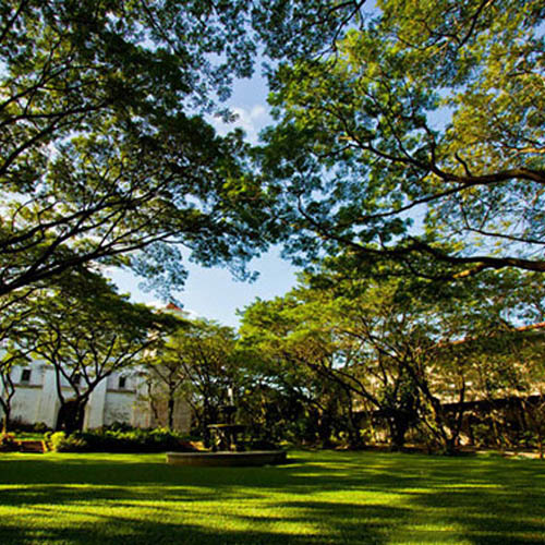 DLSU-D: A HAVEN FOR BIODIVERSITY