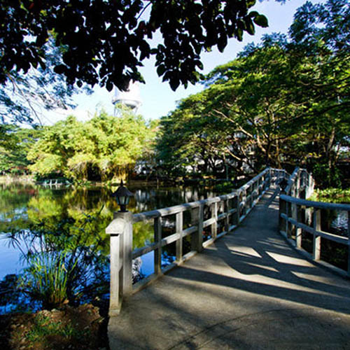 DLSU-D: A HAVEN FOR BIODIVERSITY