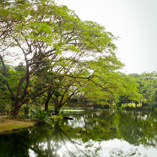 DLSU-D: A HAVEN FOR BIODIVERSITY