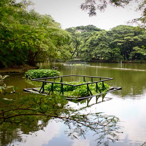 Water Management