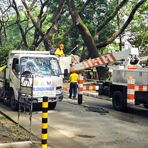 CSO Leads Tree Trimming for Safer, Greener Campus